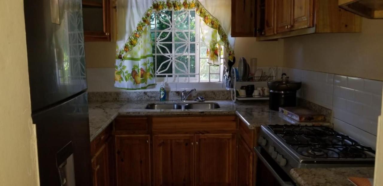 Chaudhry Holiday House Montego Bay Extérieur photo